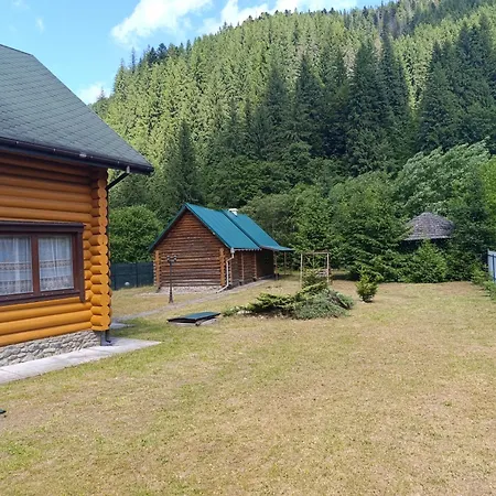 біля синевіру *