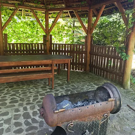 біля синевіру