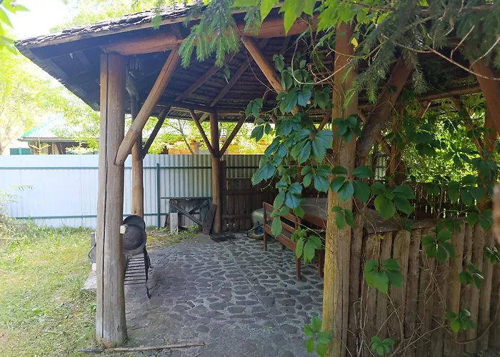 别墅 біля синевіру