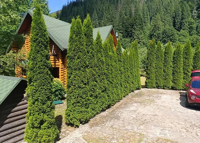 别墅 біля синевіру *