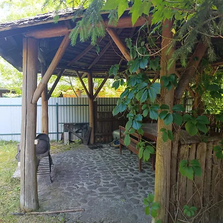Villa біля синевіру