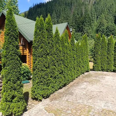 Villa біля синевіру *